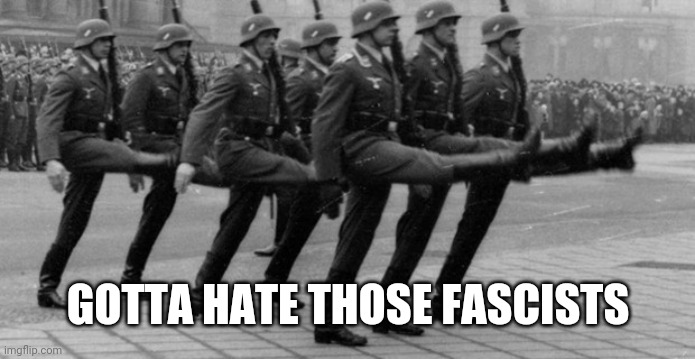 Goosestepping morons | GOTTA HATE THOSE FASCISTS | image tagged in goosestepping morons | made w/ Imgflip meme maker