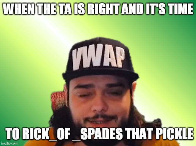 WHEN THE TA IS RIGHT AND IT'S TIME; TO RICK_OF _SPADES THAT PICKLE | image tagged in Superstonk | made w/ Imgflip meme maker