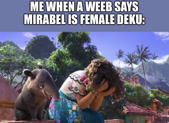 Seriously? | ME WHEN A WEEB SAYS MIRABEL IS FEMALE DEKU: | image tagged in mirabel facepalm | made w/ Imgflip meme maker