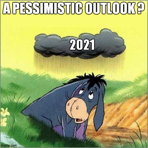 I Think This Is A Metaphor ? | A PESSIMISTIC OUTLOOK ? 2021 | image tagged in fun,pessimist,2021,eeyore | made w/ Imgflip meme maker