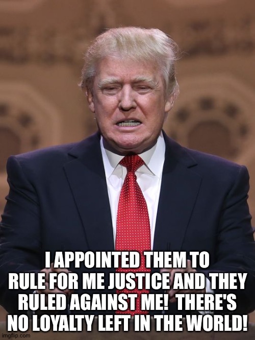 Donald Trump | I APPOINTED THEM TO RULE FOR ME JUSTICE AND THEY RULED AGAINST ME!  THERE'S NO LOYALTY LEFT IN THE WORLD! | image tagged in donald trump | made w/ Imgflip meme maker