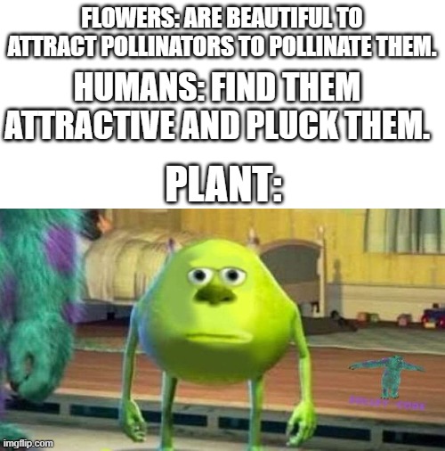 Why humans????? | FLOWERS: ARE BEAUTIFUL TO ATTRACT POLLINATORS TO POLLINATE THEM. HUMANS: FIND THEM ATTRACTIVE AND PLUCK THEM. PLANT: | image tagged in blank white template | made w/ Imgflip meme maker