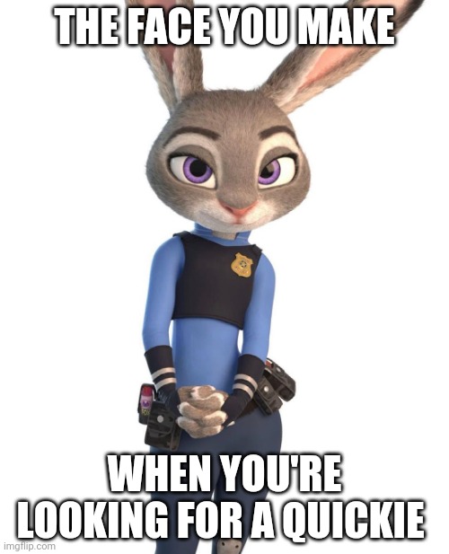 Horny Judy Hopps | THE FACE YOU MAKE; WHEN YOU'RE LOOKING FOR A QUICKIE | image tagged in judy hopps flirting,zootopia,judy hopps,the face you make when,funny,memes | made w/ Imgflip meme maker