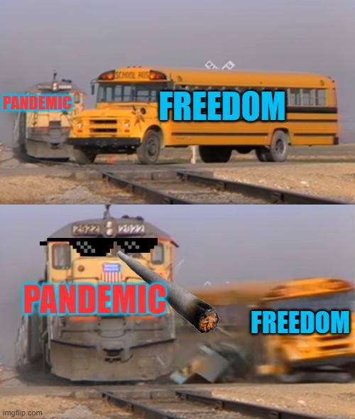 T R U E | FREEDOM; PANDEMIC; PANDEMIC; FREEDOM | image tagged in a train hitting a school bus | made w/ Imgflip meme maker