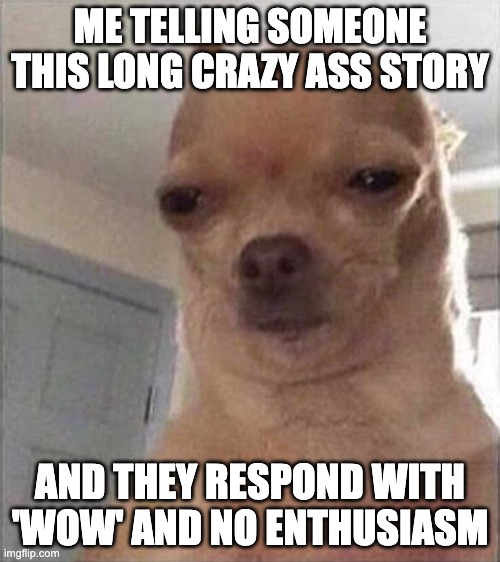 Chihuahua Meme Face | ME TELLING SOMEONE THIS LONG CRAZY ASS STORY; AND THEY RESPOND WITH 'WOW' AND NO ENTHUSIASM | image tagged in chihuahua meme face | made w/ Imgflip meme maker