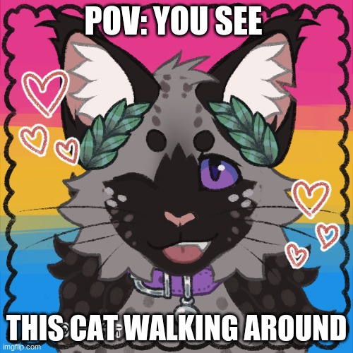 cat | POV: YOU SEE; THIS CAT WALKING AROUND | made w/ Imgflip meme maker