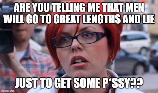 Angry Feminist | ARE YOU TELLING ME THAT MEN WILL GO TO GREAT LENGTHS AND LIE JUST TO GET SOME P*SSY?? | image tagged in angry feminist | made w/ Imgflip meme maker