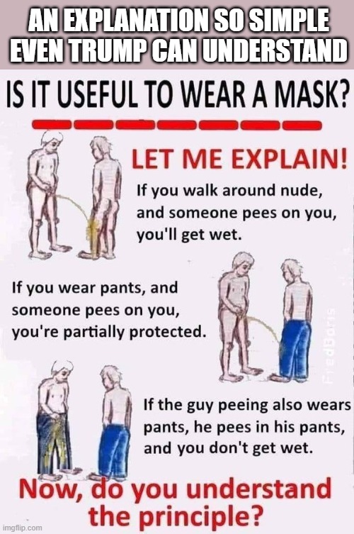 Why Masks Work! | AN EXPLANATION SO SIMPLE EVEN TRUMP CAN UNDERSTAND | image tagged in mask,covid19,donald trump | made w/ Imgflip meme maker
