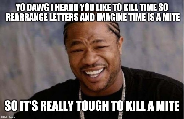 Time is an after thought about covering up | YO DAWG I HEARD YOU LIKE TO KILL TIME SO
 REARRANGE LETTERS AND IMAGINE TIME IS A MITE; SO IT'S REALLY TOUGH TO KILL A MITE | image tagged in memes,yo dawg heard you | made w/ Imgflip meme maker