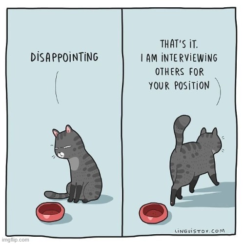 A Cat's Way Of Thinking | image tagged in memes,comics,cats,disappointment,job interview,wow you failed this job | made w/ Imgflip meme maker