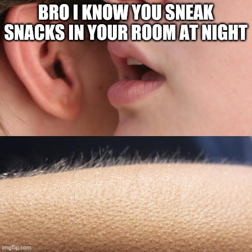 FUNNY MEMES | BRO I KNOW YOU SNEAK SNACKS IN YOUR ROOM AT NIGHT | image tagged in whisper and goosebumps | made w/ Imgflip meme maker