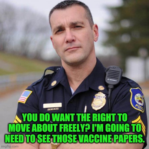 Cop | YOU DO WANT THE RIGHT TO MOVE ABOUT FREELY? I'M GOING TO NEED TO SEE THOSE VACCINE PAPERS. | image tagged in cop | made w/ Imgflip meme maker