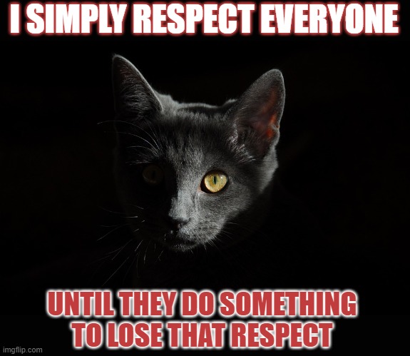This lolcat respects everyone | I SIMPLY RESPECT EVERYONE; UNTIL THEY DO SOMETHING
TO LOSE THAT RESPECT | image tagged in lolcat,respect | made w/ Imgflip meme maker