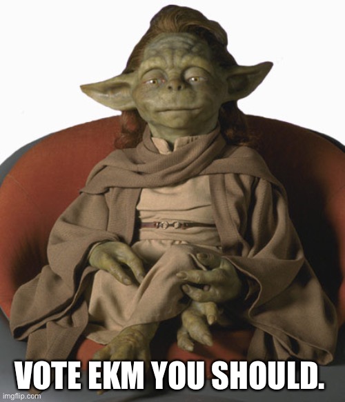 Yaddle | VOTE EKM YOU SHOULD. | image tagged in yaddle | made w/ Imgflip meme maker