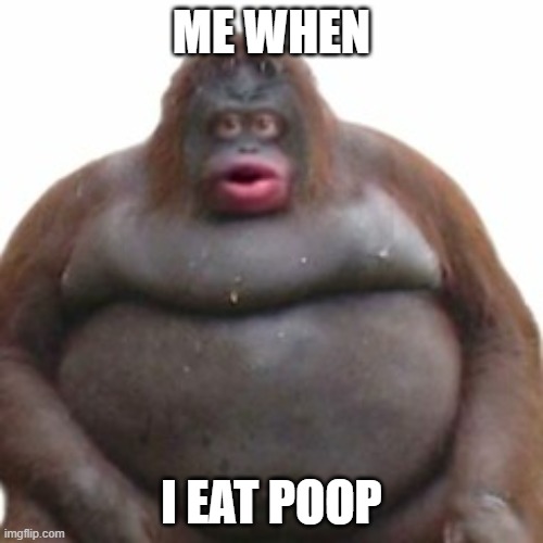 u wot m8 ? | ME WHEN; I EAT POOP | image tagged in funny | made w/ Imgflip meme maker