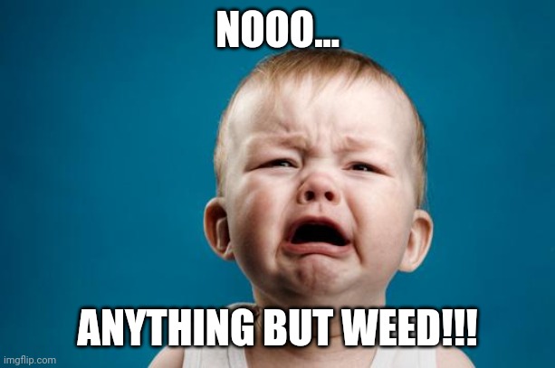 BABY CRYING | NOOO... ANYTHING BUT WEED!!! | image tagged in baby crying | made w/ Imgflip meme maker