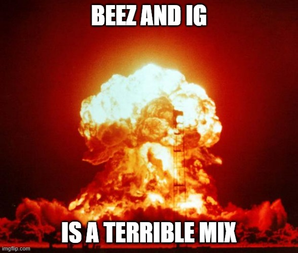 Got a feeling if Beez stays here it won't work out with him and IG | BEEZ AND IG; IS A TERRIBLE MIX | image tagged in nuke | made w/ Imgflip meme maker