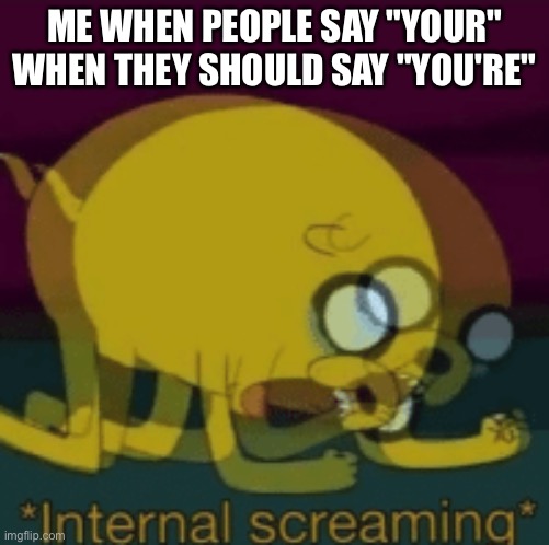Jake The Dog Internal Screaming | ME WHEN PEOPLE SAY "YOUR" WHEN THEY SHOULD SAY "YOU'RE" | image tagged in jake the dog internal screaming | made w/ Imgflip meme maker