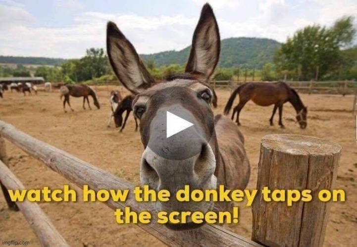 Click ! | image tagged in donkey from shrek | made w/ Imgflip meme maker