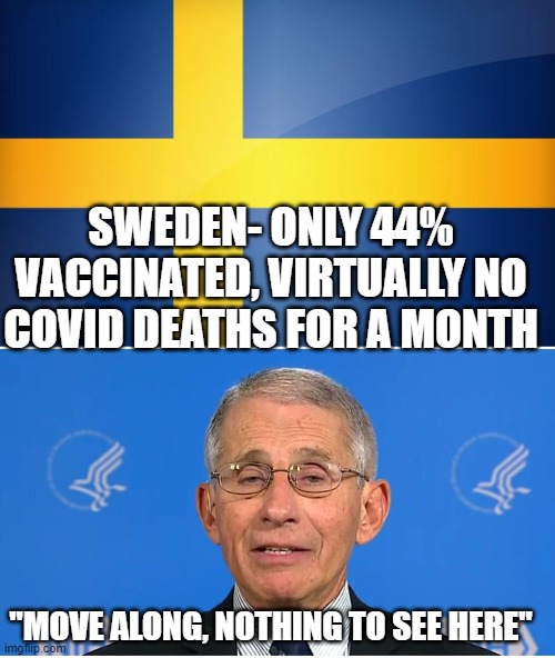 covid crap | SWEDEN- ONLY 44% VACCINATED, VIRTUALLY NO COVID DEATHS FOR A MONTH; "MOVE ALONG, NOTHING TO SEE HERE" | image tagged in sweden flag,dr fauci | made w/ Imgflip meme maker