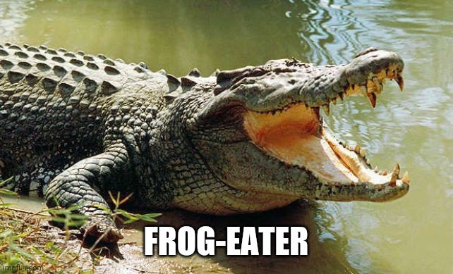 Crocodile barrel roll | FROG-EATER | image tagged in crocodile barrel roll | made w/ Imgflip meme maker