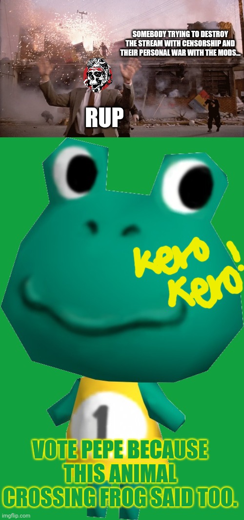 Animal crossing / pepe crossover | SOMEBODY TRYING TO DESTROY THE STREAM WITH CENSORSHIP AND THEIR PERSONAL WAR WITH THE MODS... RUP; VOTE PEPE BECAUSE THIS ANIMAL CROSSING FROG SAID TOO. | image tagged in nothing to see here,pepe,party,animal crossing,frog | made w/ Imgflip meme maker