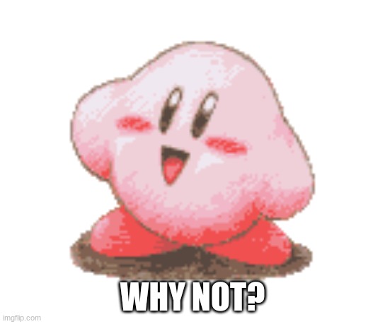 Kirby | WHY NOT? | image tagged in kirby | made w/ Imgflip meme maker