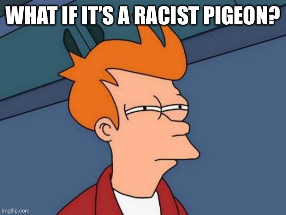 Futurama Fry Meme | WHAT IF IT’S A RACIST PIGEON? | image tagged in memes,futurama fry | made w/ Imgflip meme maker