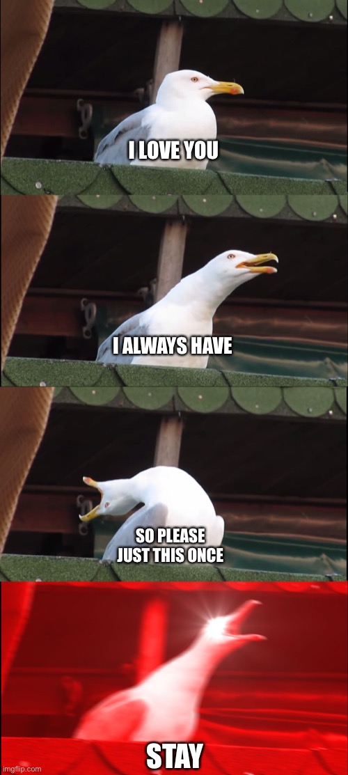 Inhaling Seagull Meme | I LOVE YOU; I ALWAYS HAVE; SO PLEASE JUST THIS ONCE; STAY | image tagged in memes,inhaling seagull,she-ra,funny memes,scared cat | made w/ Imgflip meme maker