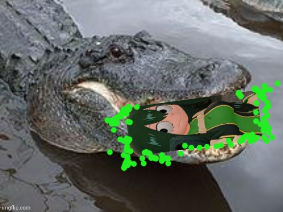Alligator Wut | image tagged in alligator wut | made w/ Imgflip meme maker