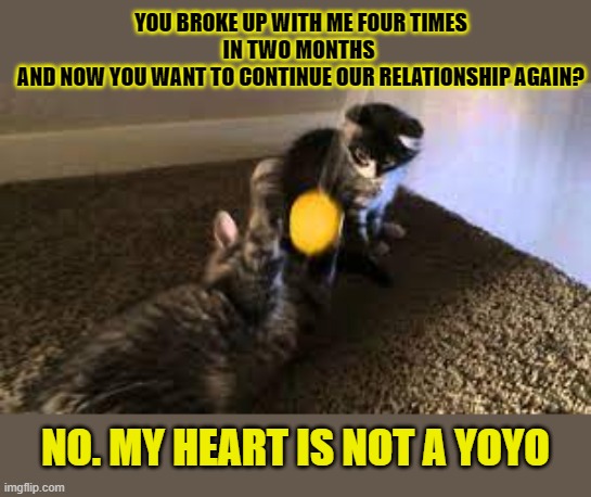 This lolcat refuses to let his heart be used as a yoyo | YOU BROKE UP WITH ME FOUR TIMES
IN TWO MONTHS 
AND NOW YOU WANT TO CONTINUE OUR RELATIONSHIP AGAIN? NO. MY HEART IS NOT A YOYO | image tagged in lolcat,broken heart,yoyo | made w/ Imgflip meme maker