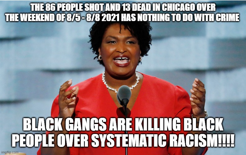 she said this , this morning  - | THE 86 PEOPLE SHOT AND 13 DEAD IN CHICAGO OVER THE WEEKEND OF 8/5 - 8/8 2021 HAS NOTHING TO DO WITH CRIME; BLACK GANGS ARE KILLING BLACK PEOPLE OVER SYSTEMATIC RACISM!!!! | image tagged in insane,stupid liberals,funny memes,politics lol,political memes | made w/ Imgflip meme maker