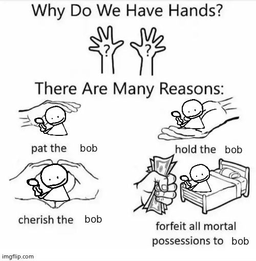 Why do we have hands? (all blank) |  bob; bob; bob; bob | image tagged in why do we have hands all blank | made w/ Imgflip meme maker