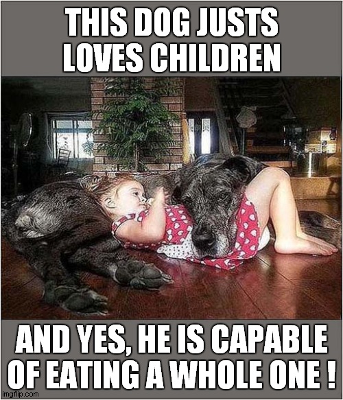 A Dogs Dinner ! | THIS DOG JUSTS LOVES CHILDREN; AND YES, HE IS CAPABLE OF EATING A WHOLE ONE ! | image tagged in dogs,eating,children,dark humour | made w/ Imgflip meme maker