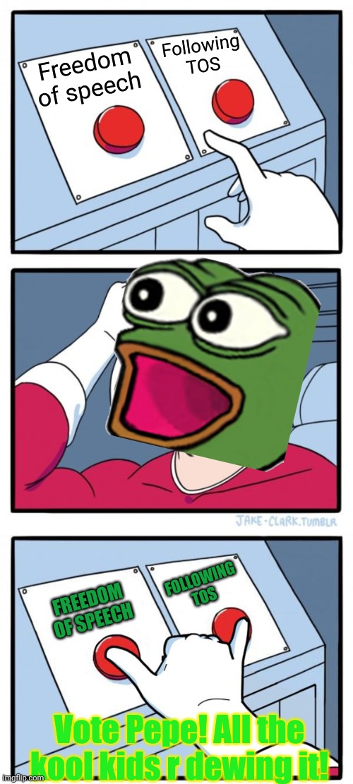Vote Pepe! | Following TOS; Freedom of speech; FOLLOWING TOS; FREEDOM OF SPEECH; Vote Pepe! All the kool kids r dewing it! | image tagged in memes,two buttons,both buttons pressed,frog,vote,pepe the frog | made w/ Imgflip meme maker