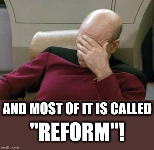 Captain Picard Facepalm Meme | "REFORM"! AND MOST OF IT IS CALLED | image tagged in memes,captain picard facepalm | made w/ Imgflip meme maker