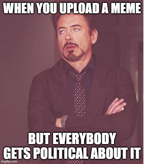 Political | WHEN YOU UPLOAD A MEME; BUT EVERYBODY GETS POLITICAL ABOUT IT | image tagged in memes,face you make robert downey jr | made w/ Imgflip meme maker