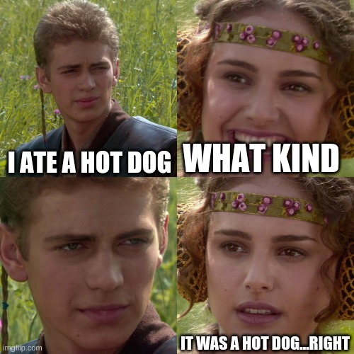 Anakin Padme 4 Panel | I ATE A HOT DOG; WHAT KIND; IT WAS A HOT DOG...RIGHT | image tagged in anakin padme 4 panel | made w/ Imgflip meme maker