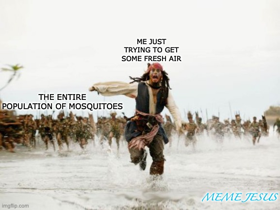 Mosquitoes | ME JUST TRYING TO GET SOME FRESH AIR THE ENTIRE POPULATION OF MOSQUITOES MEME JESUS | image tagged in memes,jack sparrow being chased | made w/ Imgflip meme maker