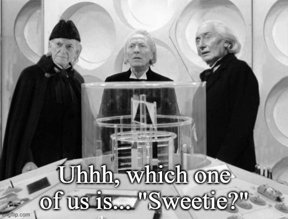 Doctor, who's on First? | Uhhh, which one of us is... "Sweetie?" | image tagged in doctor who,tardis,funny memes,scifi,bbc | made w/ Imgflip meme maker