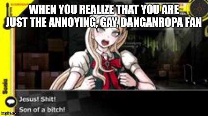 WHEN YOU REALIZE THAT YOU ARE JUST THE ANNOYING, GAY, DANGANROPA FAN | made w/ Imgflip meme maker