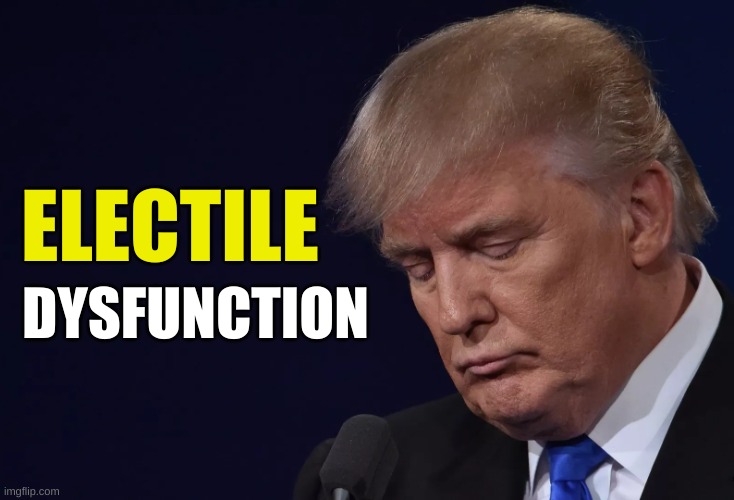 who lost? | ELECTILE; DYSFUNCTION | image tagged in trump looking down sad,electile dysfunction,erectile dysfunction,election 2020,trump lost,conservative hypocrisy | made w/ Imgflip meme maker