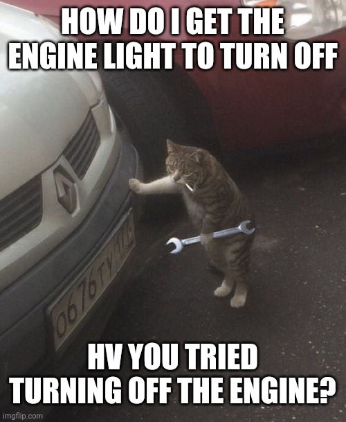cat mechanic | HOW DO I GET THE ENGINE LIGHT TO TURN OFF; HV YOU TRIED TURNING OFF THE ENGINE? | image tagged in cat mechanic | made w/ Imgflip meme maker