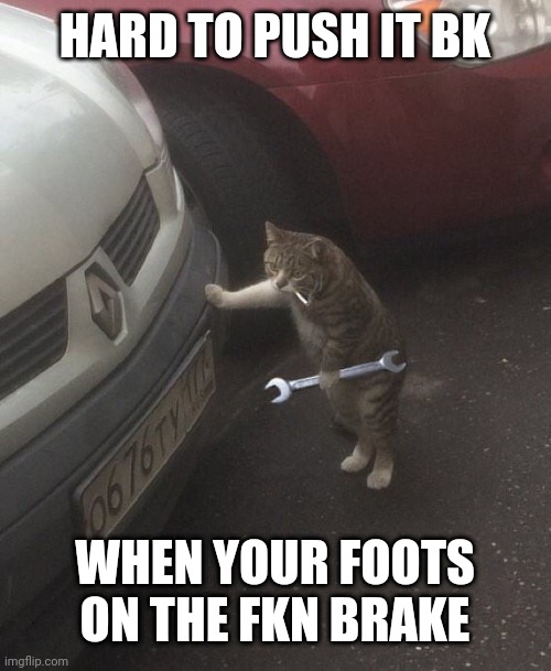 cat mechanic | HARD TO PUSH IT BK; WHEN YOUR FOOTS ON THE FKN BRAKE | image tagged in cat mechanic | made w/ Imgflip meme maker