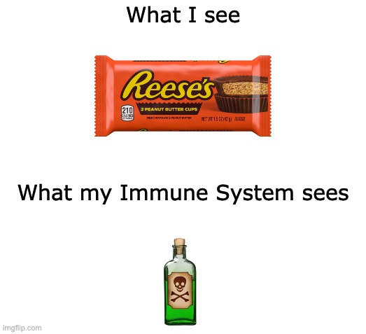 Allergies in a nutshell | What I see; What my Immune System sees | image tagged in memes | made w/ Imgflip meme maker