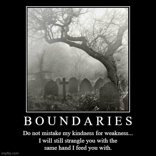 Boundaries | image tagged in funny,demotivationals | made w/ Imgflip demotivational maker