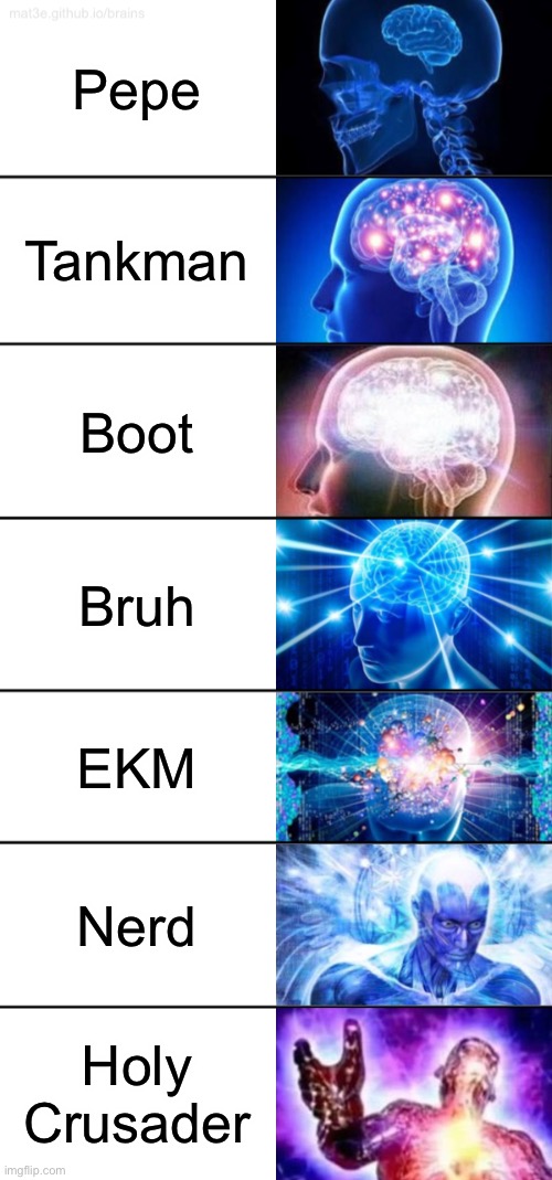 My opinions on other parties. | Pepe; Tankman; Boot; Bruh; EKM; Nerd; Holy Crusader | image tagged in 7-tier expanding brain | made w/ Imgflip meme maker