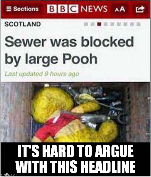Too Much Pooh ! | IT'S HARD TO ARGUE
WITH THIS HEADLINE | image tagged in winnie the pooh,sewer,blocked,visual pun | made w/ Imgflip meme maker