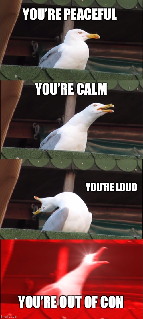 Inhaling Seagull Meme | YOU’RE PEACEFUL; YOU’RE CALM; YOU’RE LOUD; YOU’RE OUT OF CONTROL | image tagged in memes,inhaling seagull | made w/ Imgflip meme maker