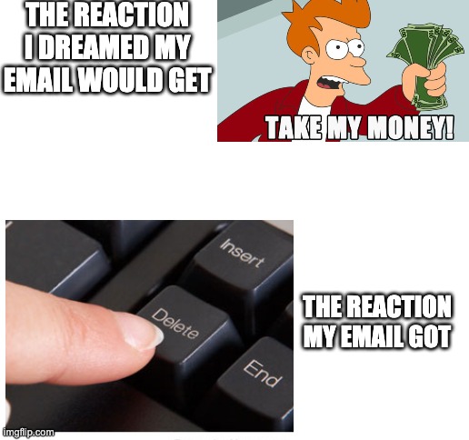 THE REACTION I DREAMED MY EMAIL WOULD GET; THE REACTION MY EMAIL GOT | image tagged in blank white template | made w/ Imgflip meme maker